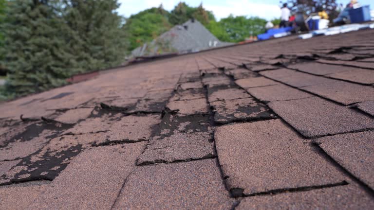 Best Roof Coating and Sealing  in Zeeland, MI