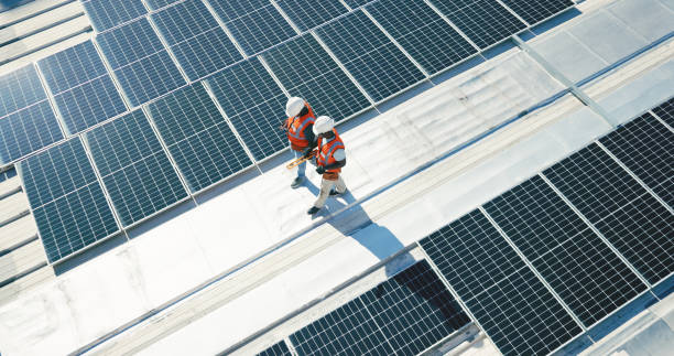 Best Roof Insulation Installation  in Zeeland, MI