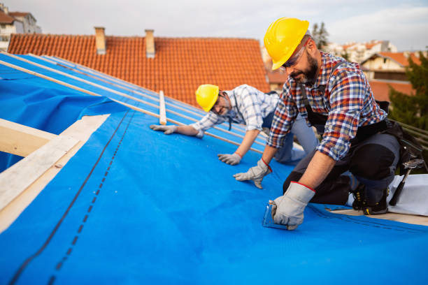 Best Storm Damage Roof Repair  in Zeeland, MI