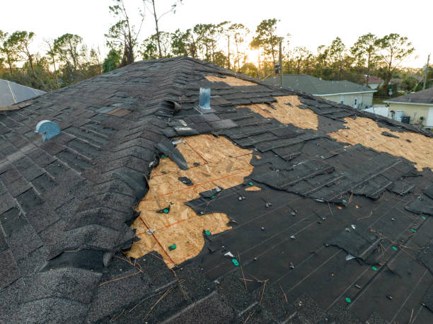 Best Roofing for New Construction  in Zeeland, MI