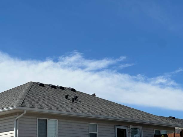 Best Rubber Roofing (EPDM, TPO)  in Zeeland, MI